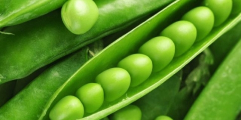 Kako posaditi grašak kod kuće